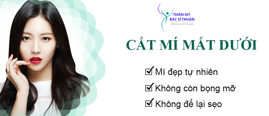 cat-mi-mat-duoi-banner